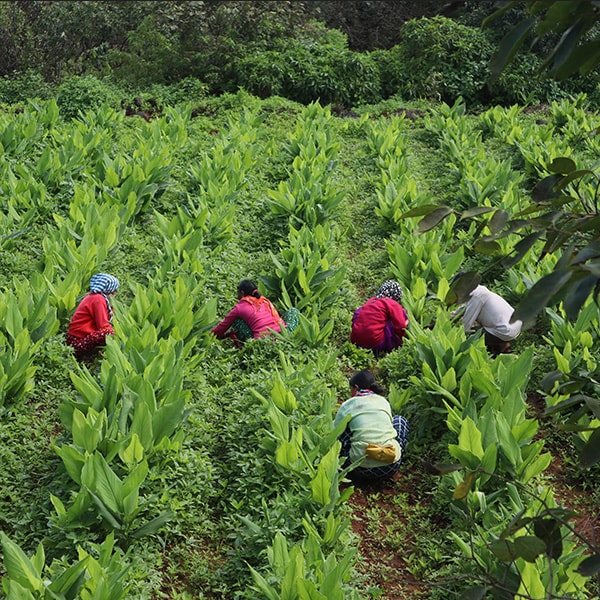 Shop body care products